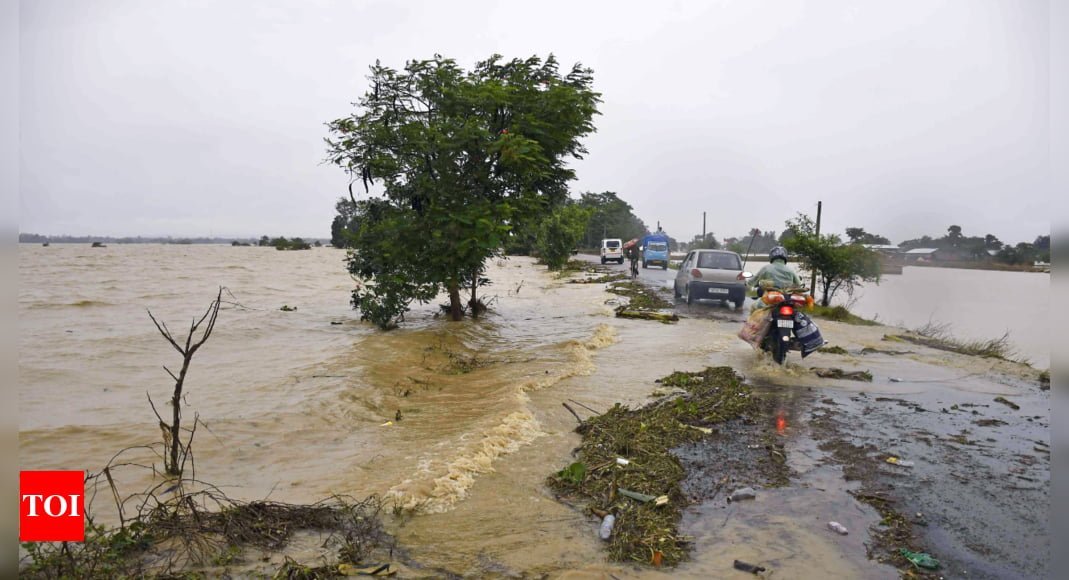 असम बाढ़: प्रमुख नदियों में उफान, 10 और मौतों की संख्या 81 हुई |  भारत समाचार