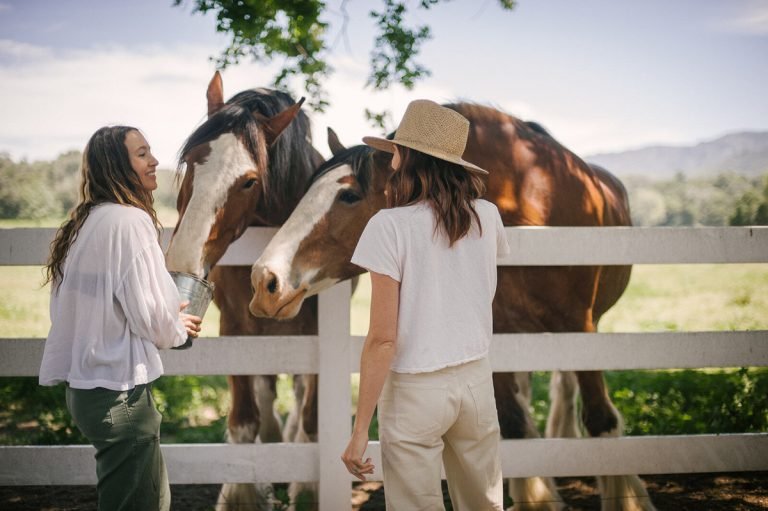 गर्मियों में करने के लिए 31 मजेदार चीजें—यह एक नए शौक का समय है! गर्मियों में करने के लिए 31 मजेदार चीजें—यह एक नए शौक का समय है!