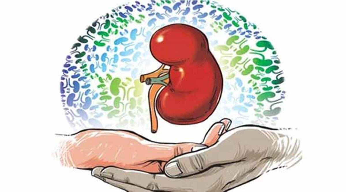ZTCC ने दीनानाथ मंगेशकर अस्पताल में अंग दाताओं के परिवारों को सम्मानित किया
