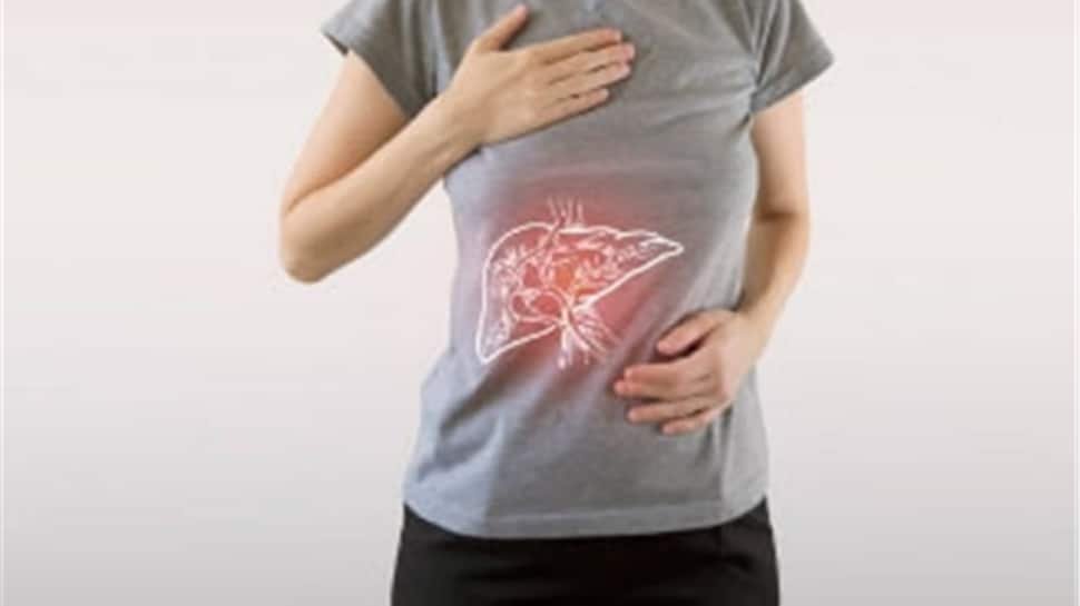 कृत्रिम मिठास लीवर की विषहरण क्षमता को कम करती है: अध्ययन |  स्वास्थ्य समाचार