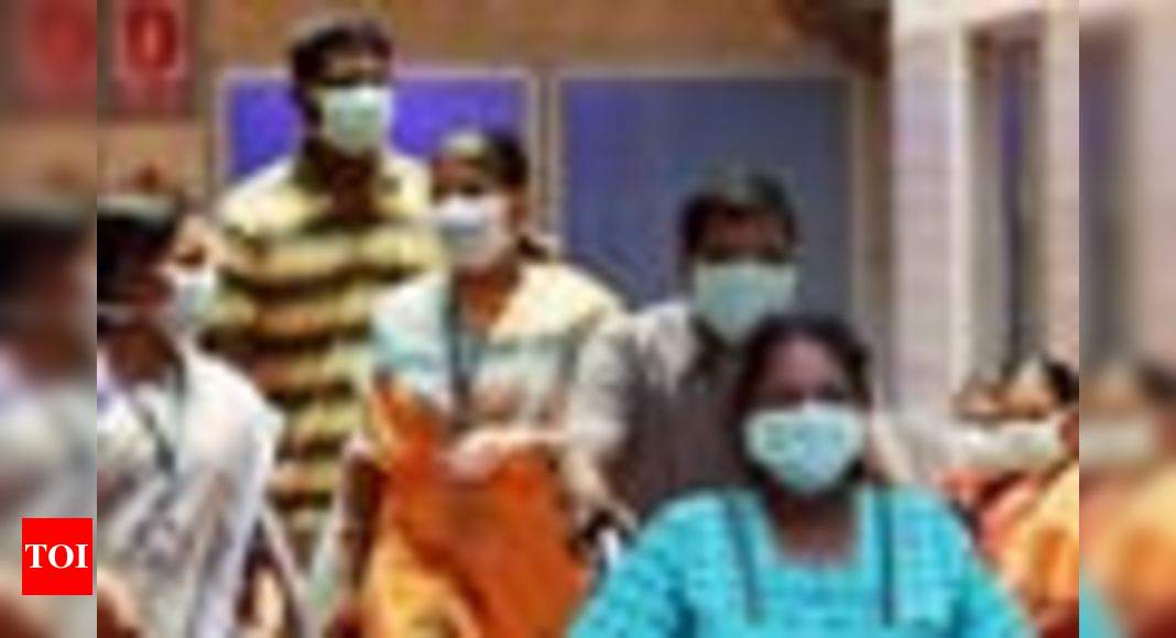 स्वाइन फ्लू की नई लहर लाखों लोगों को बीमार कर सकती है स्वाइन फ्लू की नई लहर लाखों लोगों को बीमार कर सकती है