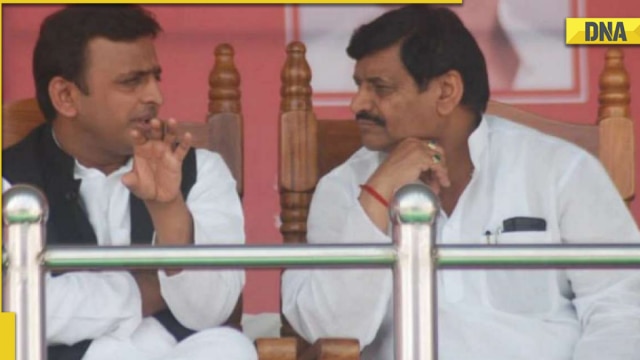 महीनों की शांति के बाद भतीजे अखिलेश यादव के साथ युद्धपथ पर शिवपाल यादव, उन्हें ‘राजनीतिक रूप से अपरिपक्व’ कहा