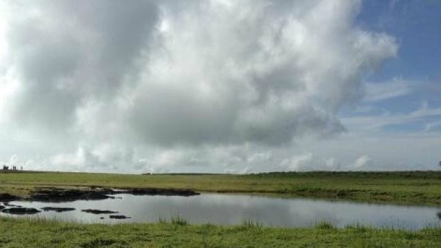 इस साल कास पत्थर पर 30% कम फूल