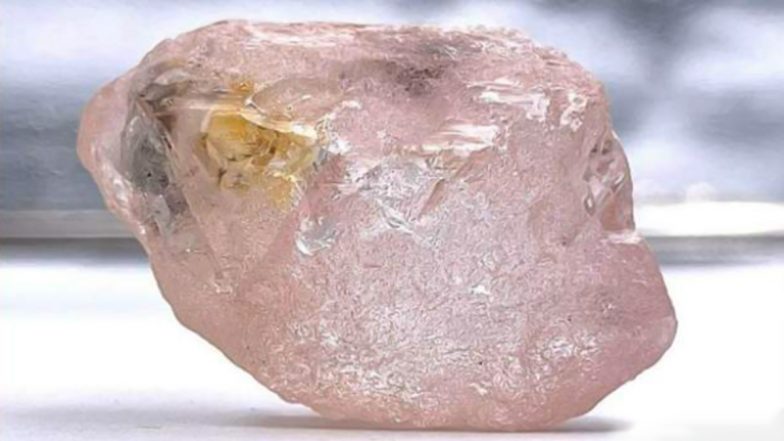 300 वर्षों में मिला अब तक का सबसे बड़ा गुलाबी हीरा लूलो गुलाब!  अंगोला माइनिंग कंपनी ने 170 कैरेट के दुर्लभ रत्न का पता लगाया (देखें वायरल तस्वीरें और वीडियो)