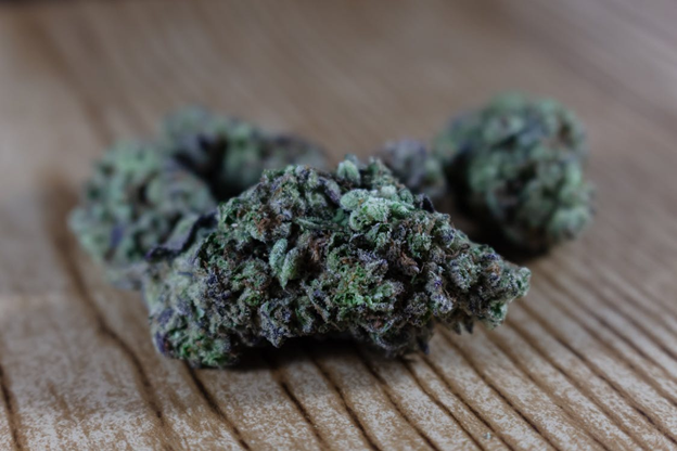 दुनिया का सबसे महंगा खरपतवार |  जस्ट लक्स