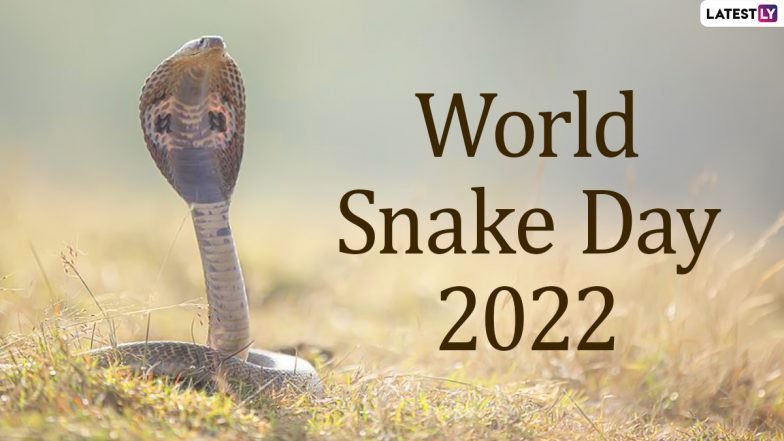 विश्व सांप दिवस 2022: देखें रेंगने वाले रेंगने वाले रेंगने वाले सांप के वायरल वीडियो! विश्व सांप दिवस 2022: देखें रेंगने वाले रेंगने वाले रेंगने वाले सांप के वायरल वीडियो!
