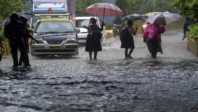 डेंगू से लेकर टाइफाइड तक, मानसूनी बीमारियां हैं कई;  यहां उन्हें रोकने का तरीका बताया गया है