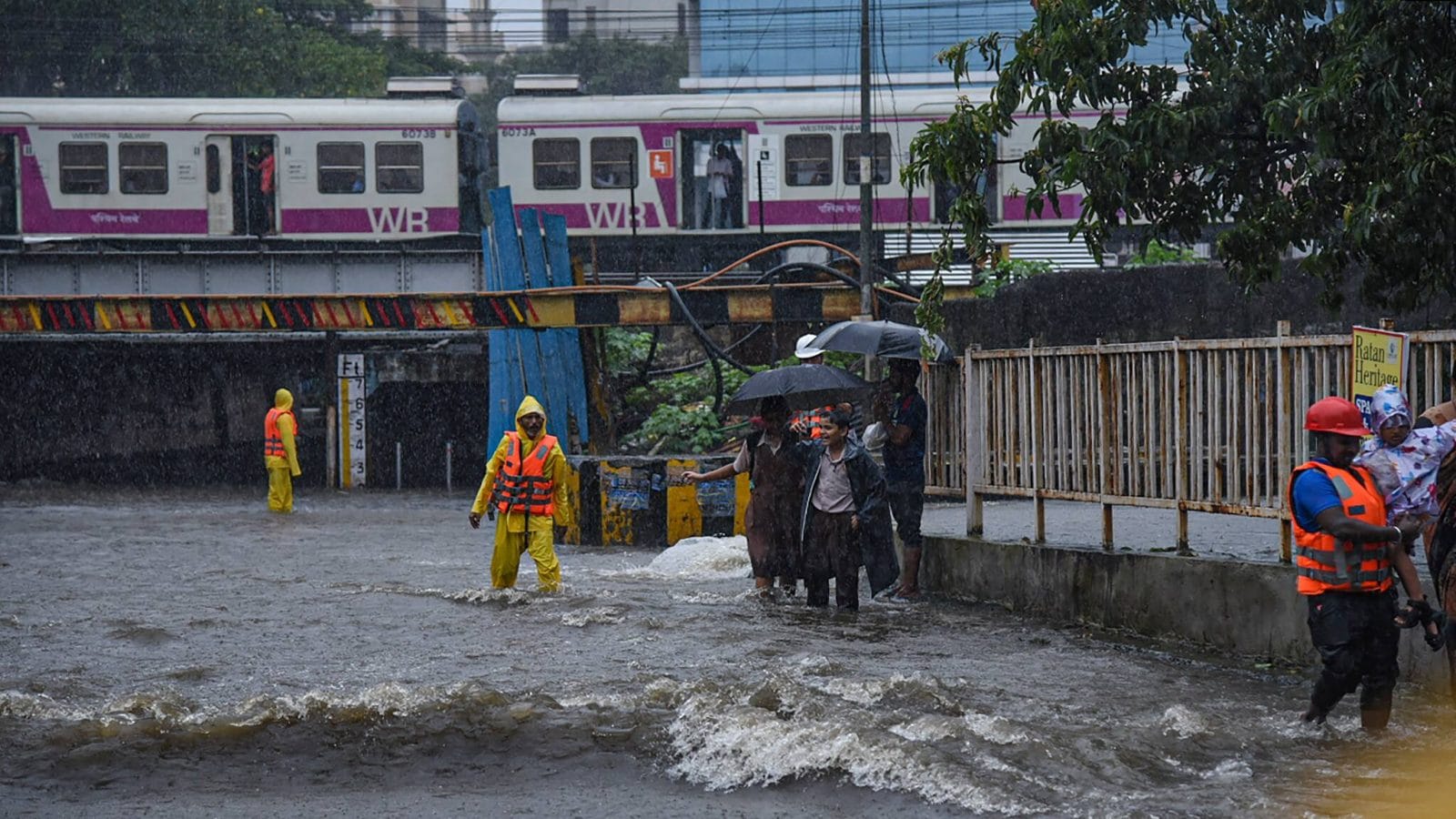 मुंबई बारिश: बढ़ सकते हैं लेप्टोस्पायरोसिस के मामले मुंबई बारिश: बढ़ सकते हैं लेप्टोस्पायरोसिस के मामले